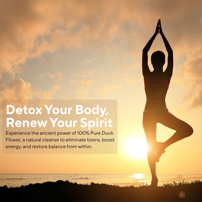 π―π² Authentic Wellness:Discovering the Whole Dried Jamaican Duck Flower