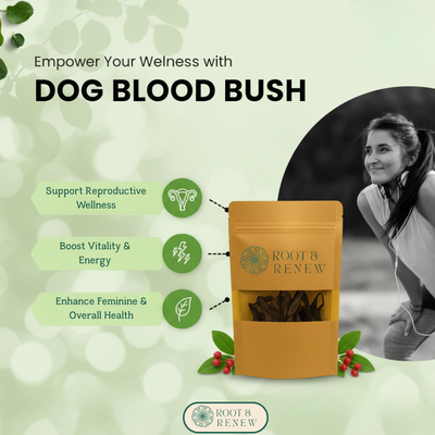 Jamaican Dog Blood Herb – 100% Natural Fertility & Wellness Tea