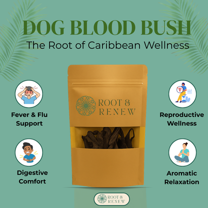 Dog Blood Bush