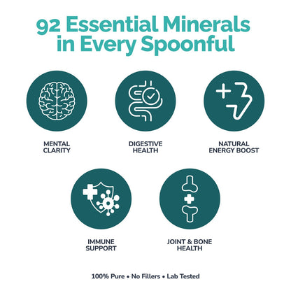 100% Pure Wildcrafted Jamaican Sea Moss Mineral-Rich Superfood for Daily Wellness, Immunity, Digestion & Natural Energy